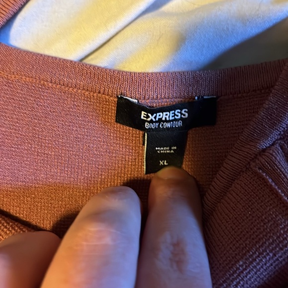 Express Brown Fitted Bustier Tank Top - Picture 2 of 2